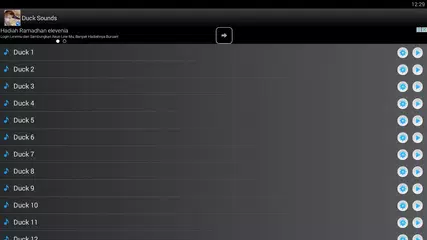 Duck Sounds Ringtones APK download