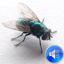Flies Sounds Ringtones APK
