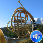 French Horn Sounds 圖標