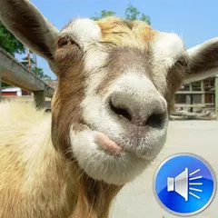 Goat Sounds Ringtones APK 下載