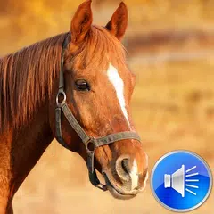 Horse Sounds Ringtones APK download