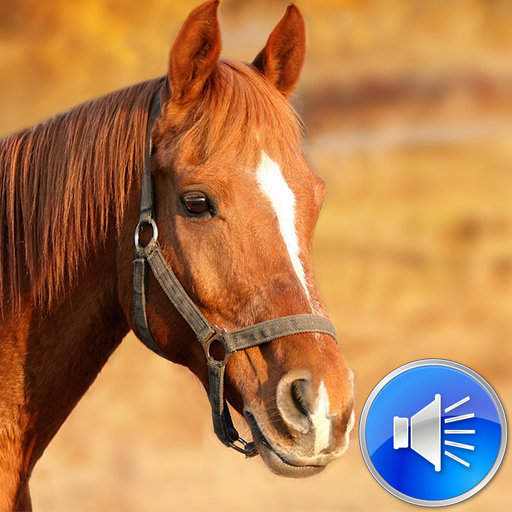 Horse Sounds Ringtones