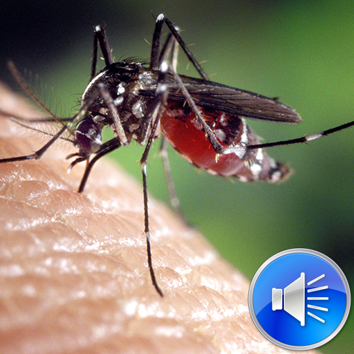 Mosquito Sounds Ringtones
