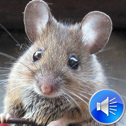 Mouse Sounds Ringtones