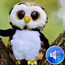 Owl Sounds Ringtones APK