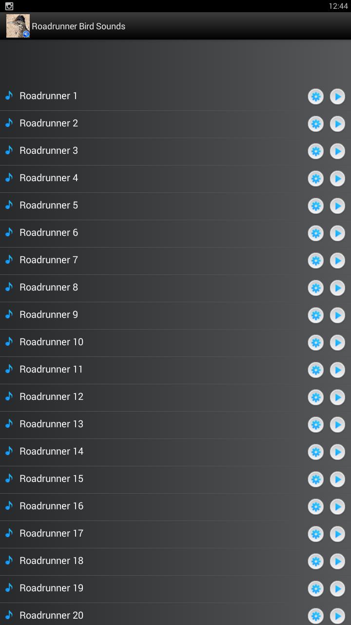 Roadrunner Bird Sound Ringtone for Android - APK Download