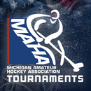 Michigan Hockey State Playoffs APK