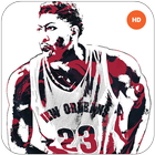 Anthony Davis Wallpapers HD NBA icône