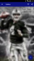 Derek Carr Wallpapers HD NFL Ekran Görüntüsü 3