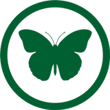 Irish Butterflies icône