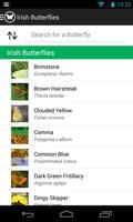 Irish Butterflies capture d'écran 1