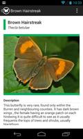 2 Schermata Irish Butterflies