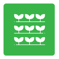 Microgreens Guide
