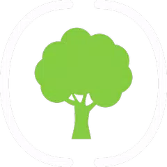 Aurora Theme by Micromax