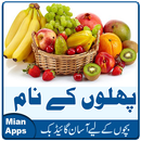 Urdu Fruits Names - Kids Learning- Fruits Pictures APK