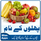 Urdu Fruits Names - Kids Learning- Fruits Pictures ícone