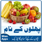 Icona Urdu Fruits Names - Kids Learning- Fruits Pictures