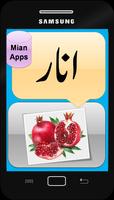 Urdu Fruits Names - Kids Learning- Fruits Pictures imagem de tela 1