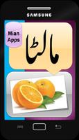 Urdu Fruits Names - Kids Learning- Fruits Pictures imagem de tela 2