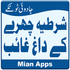 Remove Face Spots icono