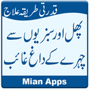 Remove Face Spots - Desi Totkay - Gharelu Totkay APK