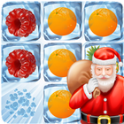 Icy Fruits icon
