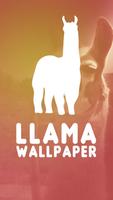 Drame libre - Lama WALLPAPER ✅ Affiche