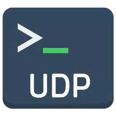 UDP Terminal APK Herunterladen