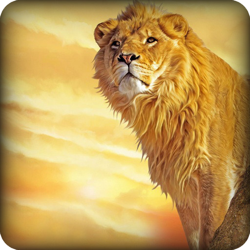 Echt Lion Simulator 2016