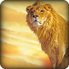 Angry Lion Simulator 2016 icon