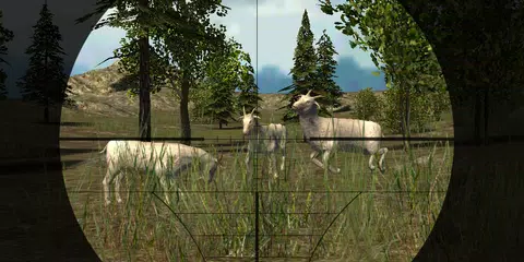 Wild Goat Hunter 2015 APK download