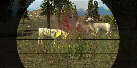Wild Goat Hunter 2015 APK download