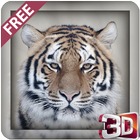 Tigre sauvage Hunter 2015 icône