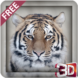 Wild Tiger Hunter 2015 biểu tượng