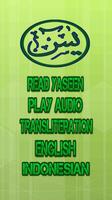Surah Yasin Plus Audio MP3 capture d'écran 1