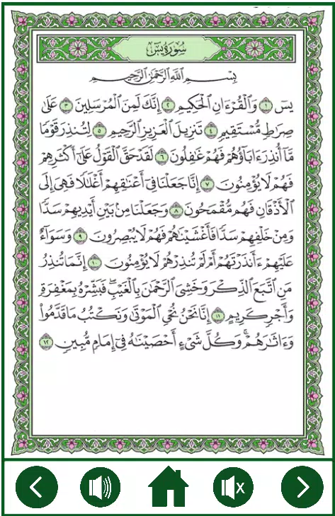 Surah Yasin Plus Audio MP3 APK for Android Download