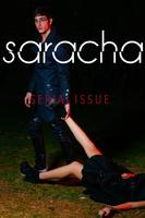 Poster Saracha Serial
