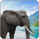 AR African Animals APK