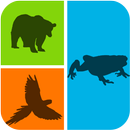 Guess the Shadow : Animals APK
