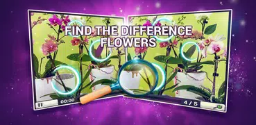 Find the Difference Flowers – 