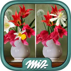 Find the Difference Flowers –  APK download