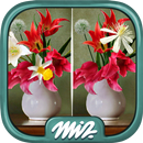 Find the Difference Flowers –  APK