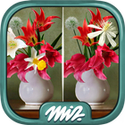 Find the Difference Flowers –  আইকন