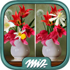 Find the Difference Flowers –  icon