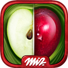 Find the Difference Fruit – Fi icon