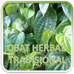 ”Obat Herbal Tradisional