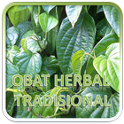 Obat Herbal Tradisional biểu tượng