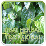 Obat Herbal Tradisional آئیکن