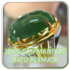 Jenis dan Manfaat Batu Permata アイコン