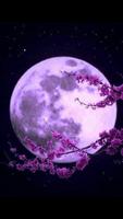 برنامه‌نما Beautiful Moon Photo Collection عکس از صفحه